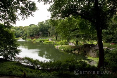The Pond, Central Park, NYC