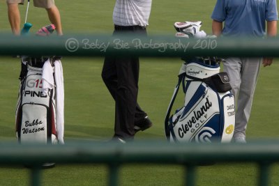 IMG_6137w.jpg