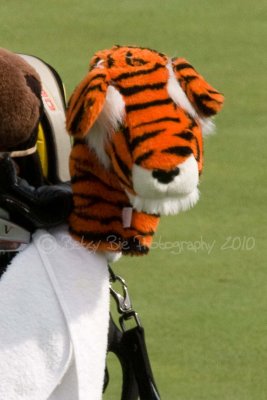 IMG_6164w.jpg