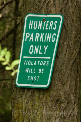 IMG_6204w.jpg