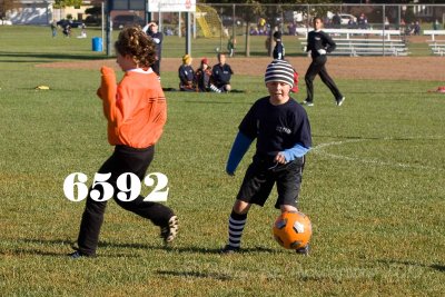 IMG_6592w.jpg