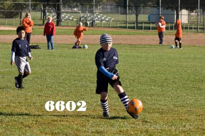 IMG_6602w.jpg