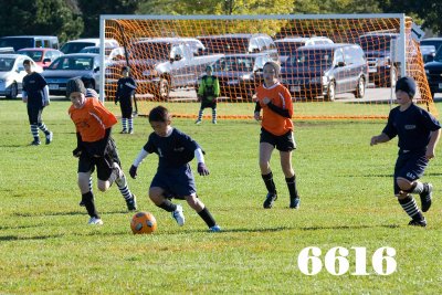 IMG_6616w.jpg