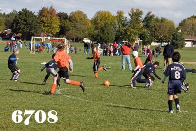 IMG_6708w.jpg