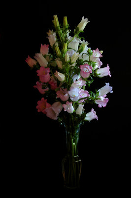 June 06, 2008