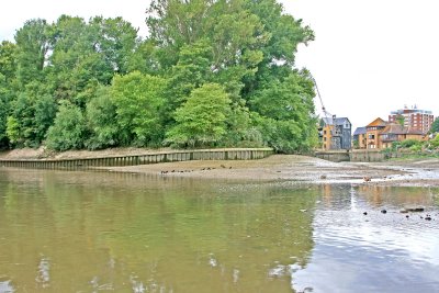 Isleworth Ait, downstream end.