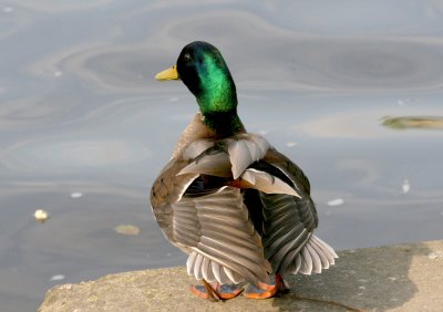 g1/50/558950/3/98302736.EjFhJbsM.jpg