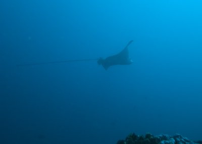 DSC_0015.jpg