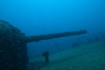 DSC_0113.jpg