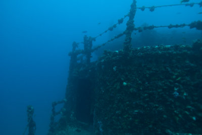 DSC_0114.jpg