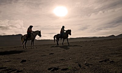 Mt Bromo XV