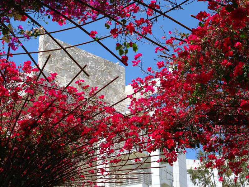 Getty Museum