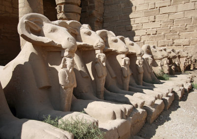 Karnak/sphinxes