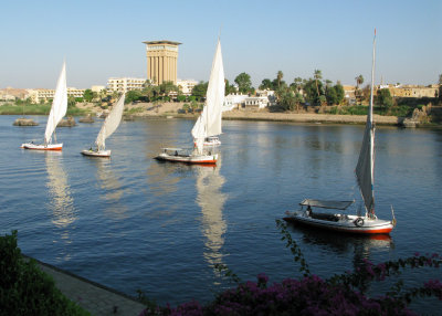 feluccas on the Nile