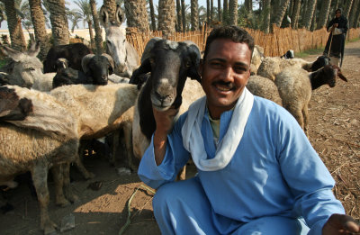 goat herder