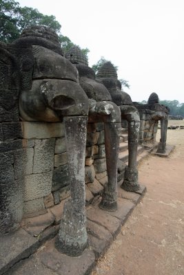 The Elephant Terrace