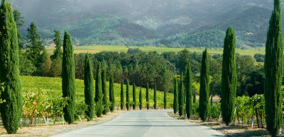 Upper Napa Valley