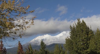 Mt Shasta