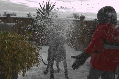 Lucy wasn't sure about that snowball.