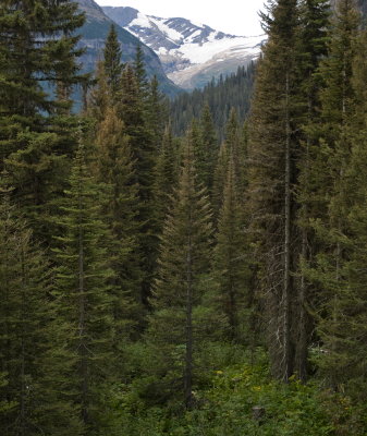 One glacier in the background. They are not all melted as Al says.