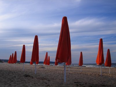 g1/50/666450/3/127899682.oiZyOPTT.jpg