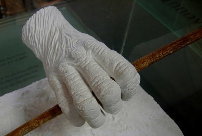 our ancestor's hand