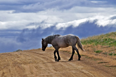 _DSC0416.web.jpg