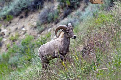 _DSC0906.web..jpg