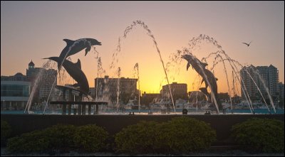 Dolphin Fountain, Sarasota