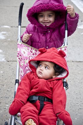 20101230 / stroller