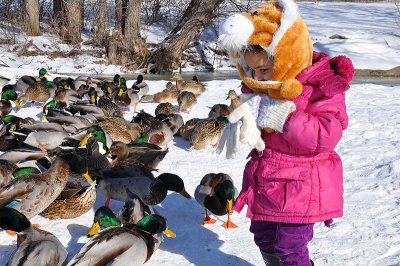 20110123B / ducks