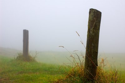 Brouillard sur Charlevoix, 2009