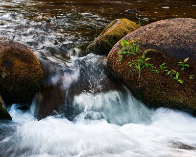 Cascade, Charlevoix, 2010