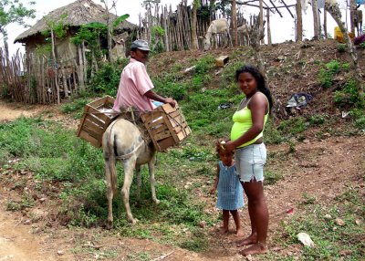 Paysans, Colombie