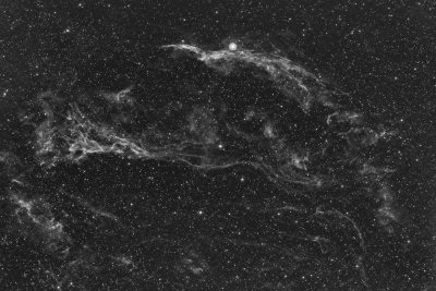 NGC 6960 and Pickering's Triangular Wisp in  Ha grayscale
