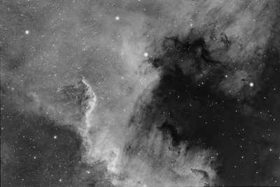 NGC 7000 The Gulf in Ha grayscale