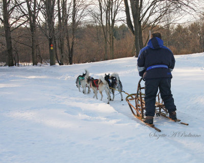  A Sled Ride