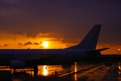 g1/50/744950/3/114827526.1s5L0EX1.jpg