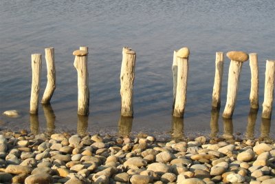 Galets camarguais / standing stones