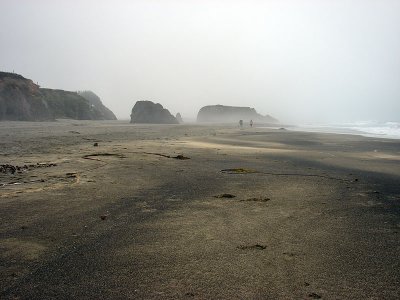 MendocinoCoast5.jpg