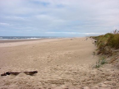 beach1.jpg