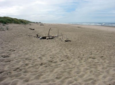 beach2.jpg