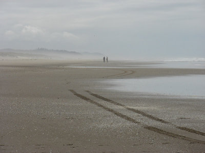 beach4.jpg