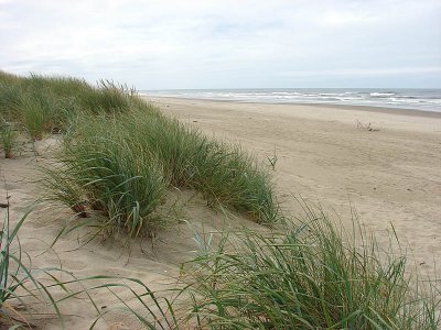 beach7.jpg