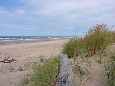 beach8.jpg