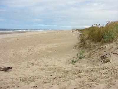 beach9.jpg