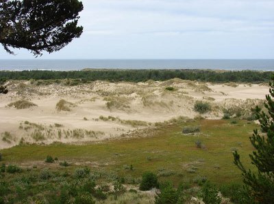 dunes1.jpg