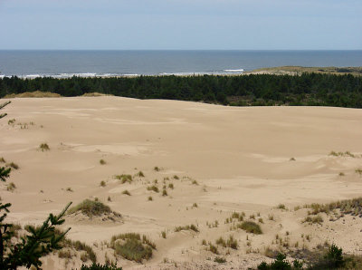 dunes2.jpg