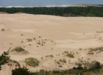 dunes3.jpg
