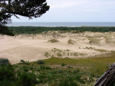 dunes4.jpg